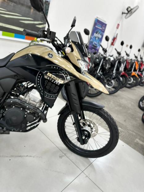 YAMAHA XTZ 250 LANDER, Foto 2