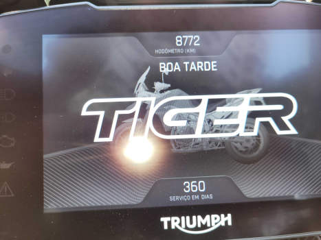 TRIUMPH Tiger 900 GT Pro , Foto 2
